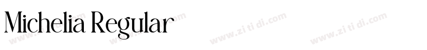 Michelia Regular字体转换